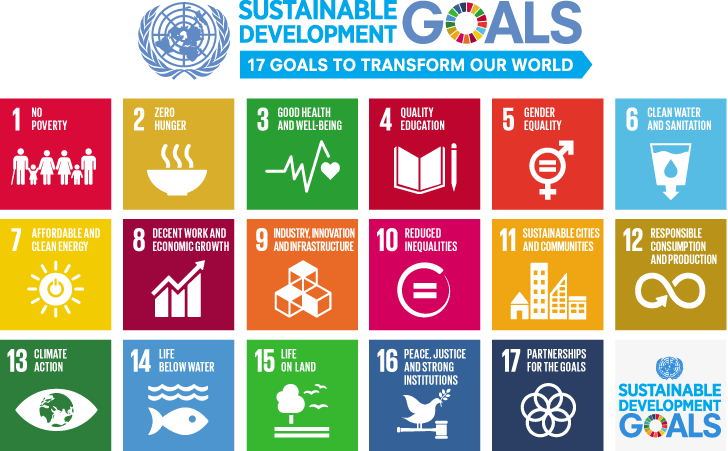 I Sustainable Development Goals sono stati definiti dalle Nazioni Unite nel 2015