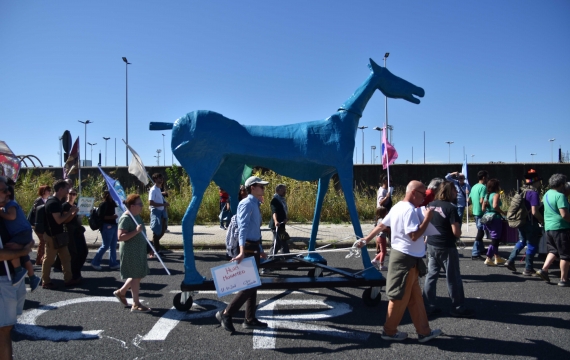 La storia di Marco Cavallo