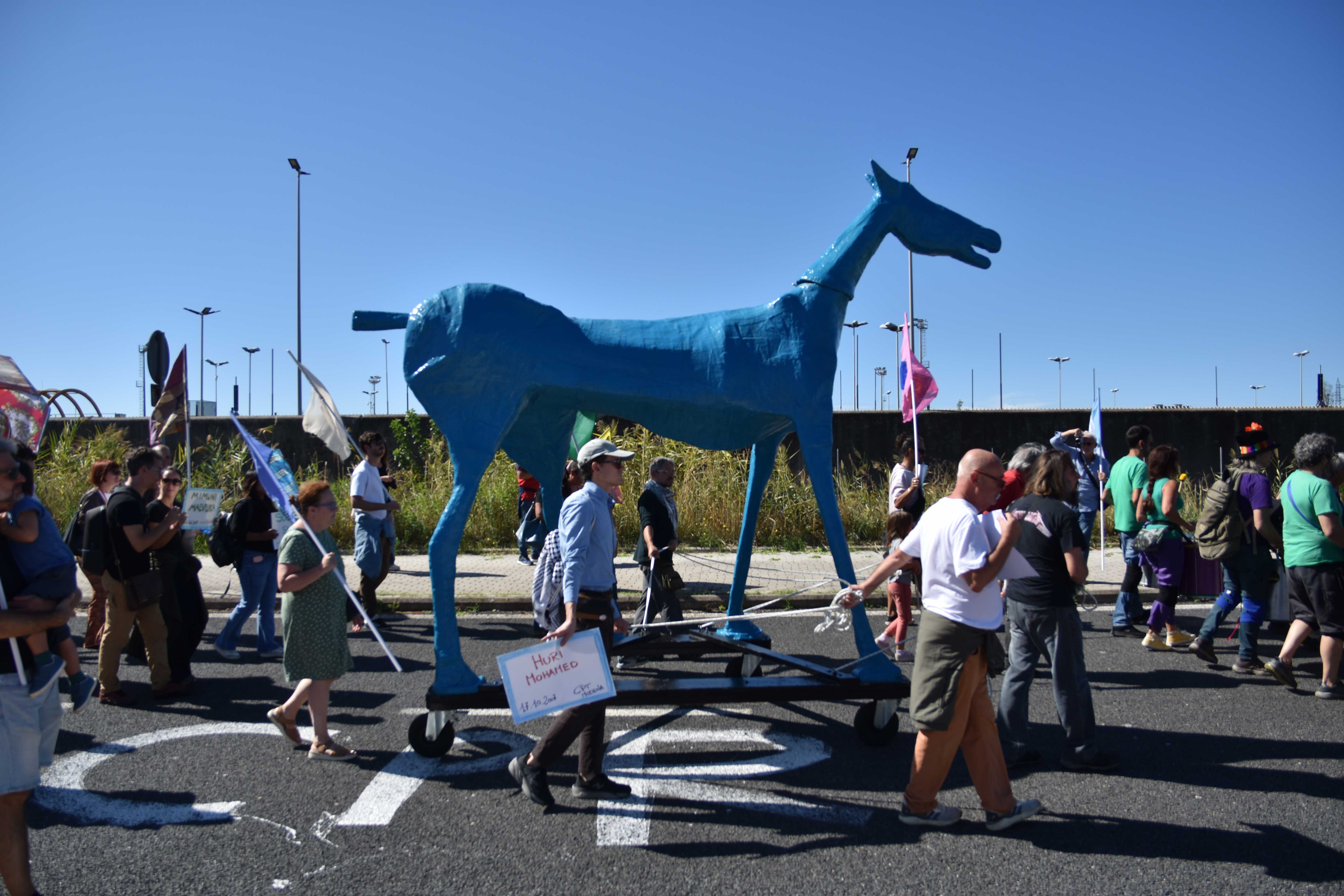 La storia di Marco Cavallo